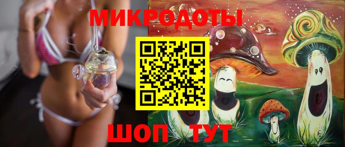 Галлюциногенные грибы Psilocybine cubensis Елабуга